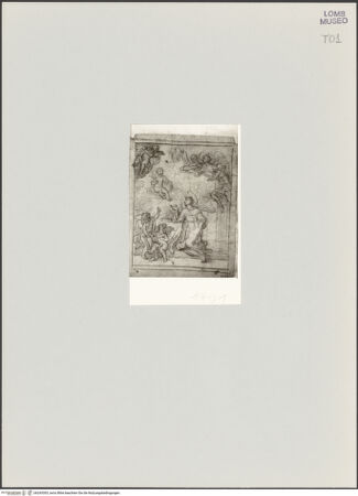 Vorderseite von bh243303_recto