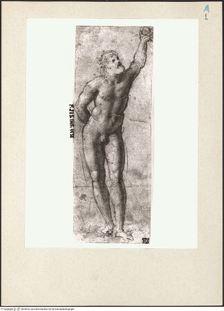 Vorderseite von bh243322_recto