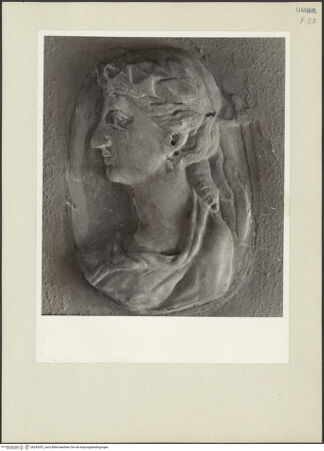 Vorderseite von bh243357_recto