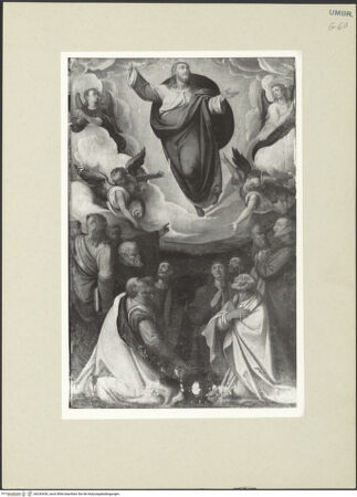 Vorderseite von bh243436_recto