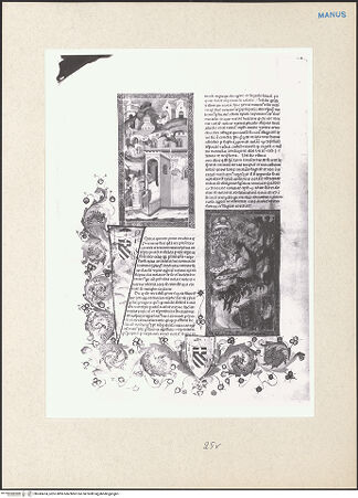 Vorderseite von bh243474_recto