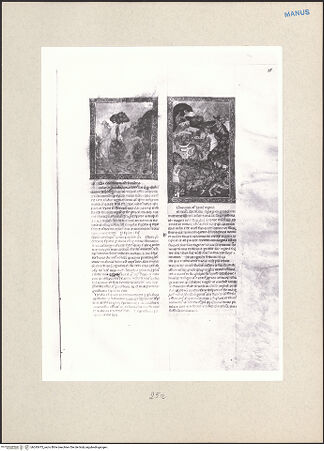 Vorderseite von bh243475_recto