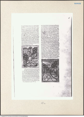 Vorderseite von bh243488_recto