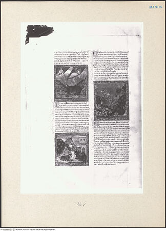 Vorderseite von bh243495_recto