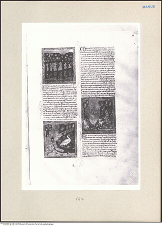 Vorderseite von bh243496_recto