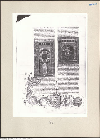 Vorderseite von bh243499_recto