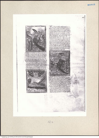 Vorderseite von bh243500_recto