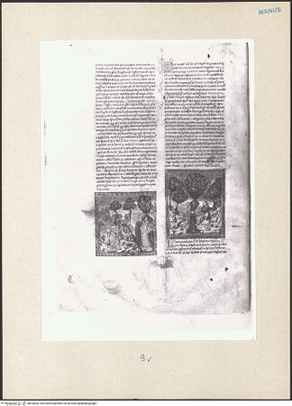 Vorderseite von bh243505_recto