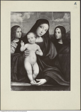 Vorderseite von bh243523_recto