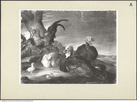 Vorderseite von bh243526_recto