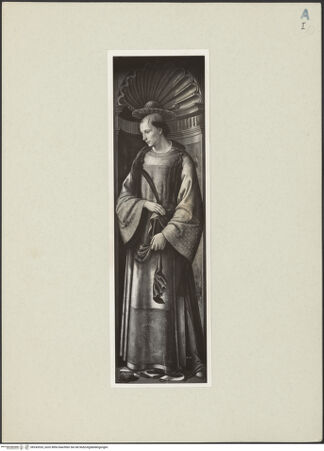 Vorderseite von bh243533_recto