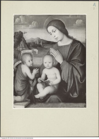 Vorderseite von bh243536_recto