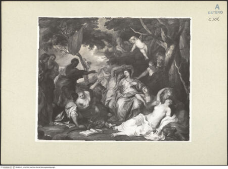 Vorderseite von bh243545_recto