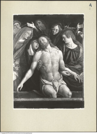 Vorderseite von bh243549_recto