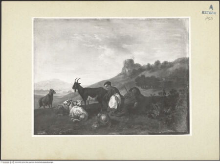 Vorderseite von bh243553_recto