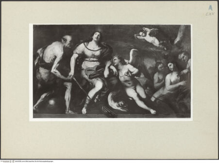 Vorderseite von bh243556_recto