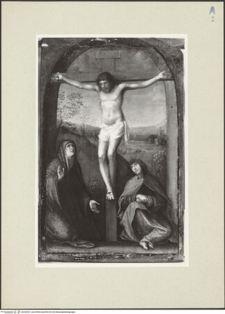 Vorderseite von bh243557_recto