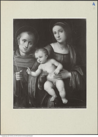 Vorderseite von bh243565_recto