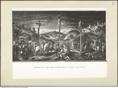 Vorderseite von bh243621_recto