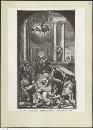 Vorderseite von bh243622_recto