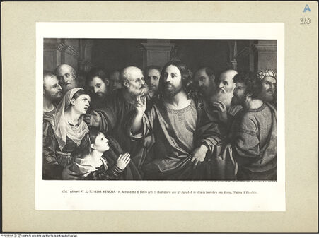 Vorderseite von bh243636_recto