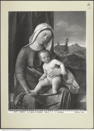 Vorderseite von bh243678_recto