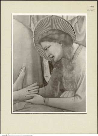 Vorderseite von bh243724_recto