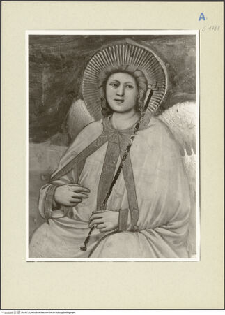 Vorderseite von bh243726_recto