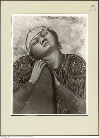 Vorderseite von bh243727_recto