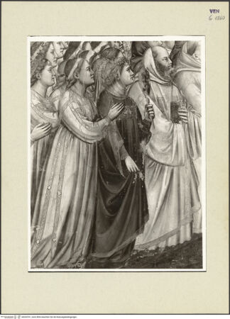 Vorderseite von bh243761_recto