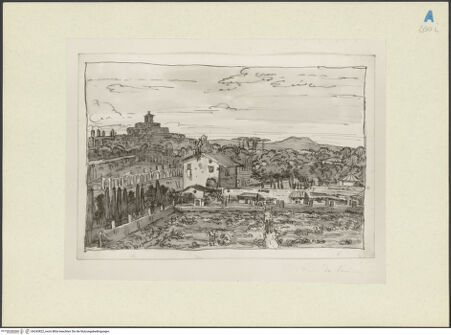 Vorderseite von bh243822_recto