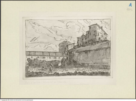 Vorderseite von bh243824_recto