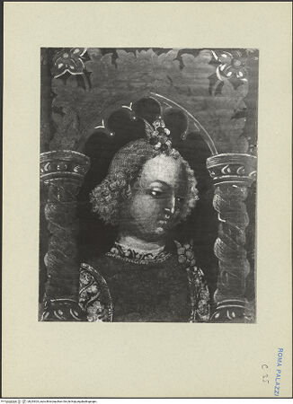 Vorderseite von bh243924_recto