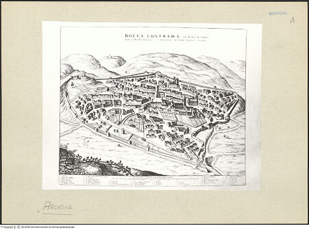 Vorderseite von bh243949_recto