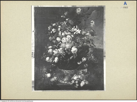 Vorderseite von bh243963_recto