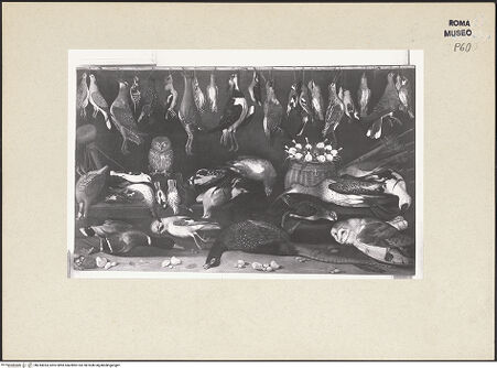 Vorderseite von bh244034_recto