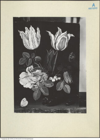 Vorderseite von bh244059_recto