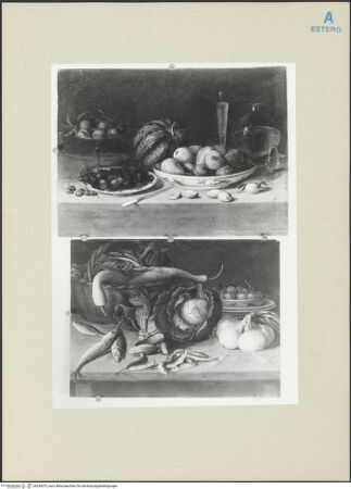 Vorderseite von bh244075_recto