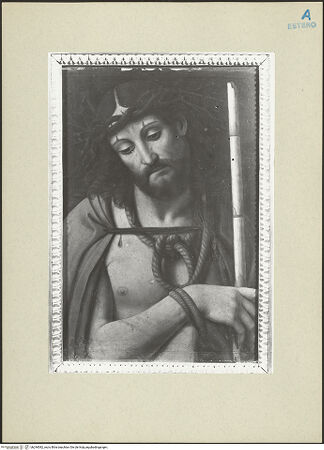 Vorderseite von bh244082_recto