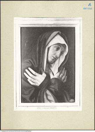 Vorderseite von bh244083_recto