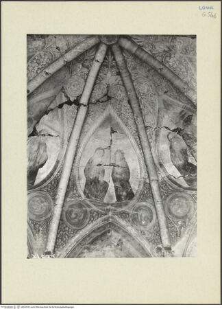 Vorderseite von bh244165_recto