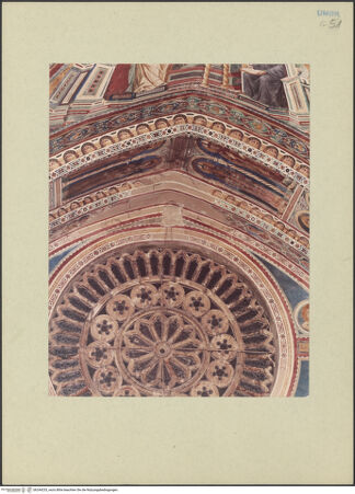 Vorderseite von bh244233_recto