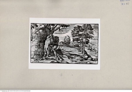 Vorderseite von Graphische Sammlung Albertina [http://creativecommons.org/publicdomain/mark/1.0/] Herkules und der Löwe - , bh244281. Foto.