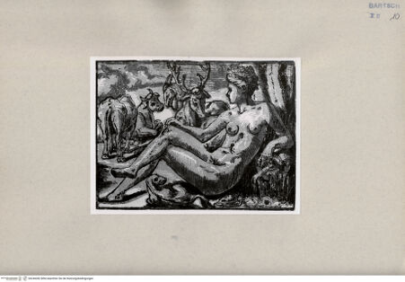 Vorderseite von  [http://creativecommons.org/publicdomain/mark/1.0/] Nymphe - , bh244282. Foto.