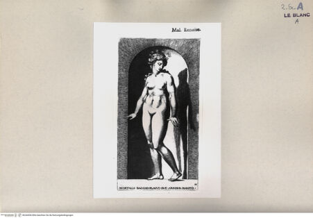 Vorderseite von  [http://creativecommons.org/publicdomain/mark/1.0/] Ariadne - , bh244306. Foto.