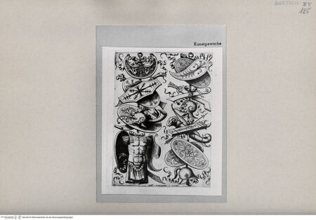 Vorderseite von  [http://creativecommons.org/publicdomain/mark/1.0/] ... - , bh244376. Foto.