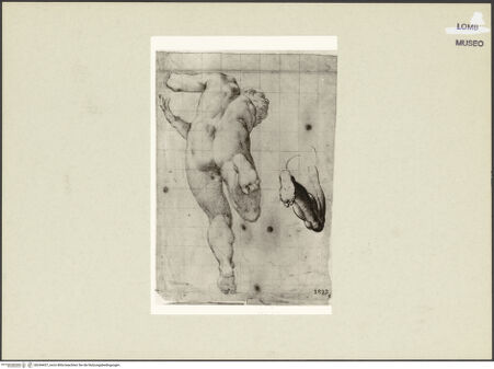 Vorderseite von bh244437_recto