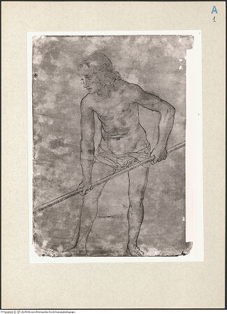 Vorderseite von bh244438_recto