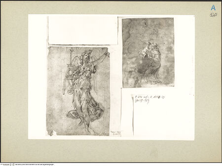 Vorderseite von bh244453_recto