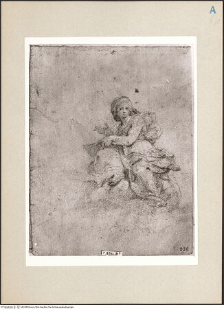 Vorderseite von bh244468_recto